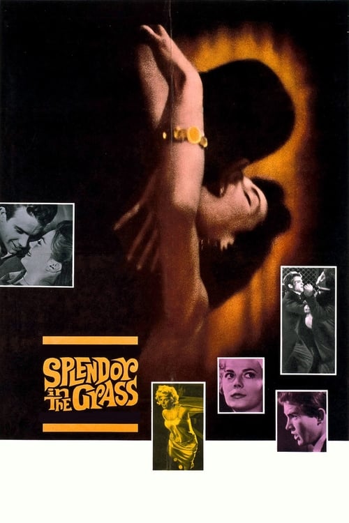 دانلود فیلم Splendor in the Grass – شکوه علفزار